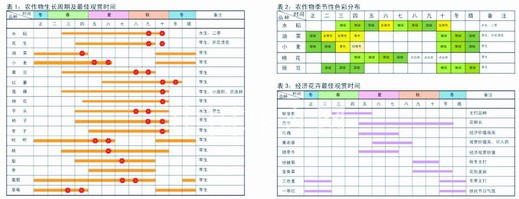 農(nóng)作物 園林 造景