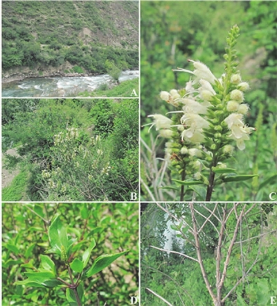 中國科學(xué)院提供