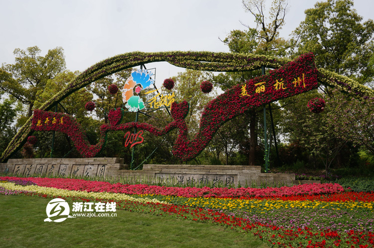 杭州 西溪 花卉