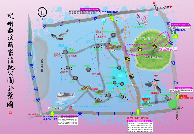 杭州 西溪 花卉