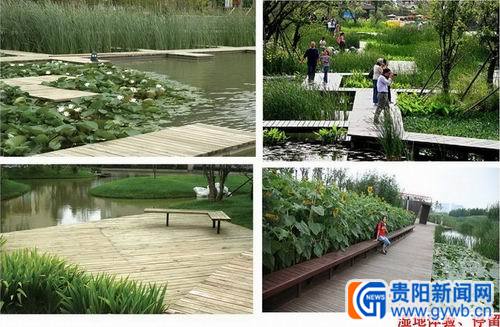 親水平臺效果圖