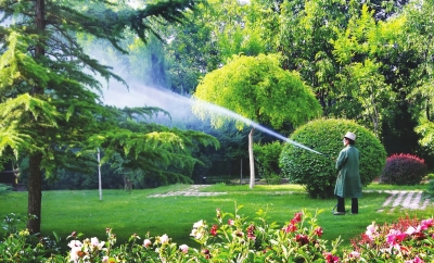 蘭州 植樹 綠化