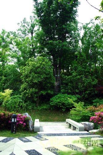 園林景觀 景觀設計 園冶杯 項目展示