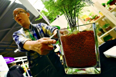 花卉 萊茵石 PM2.5