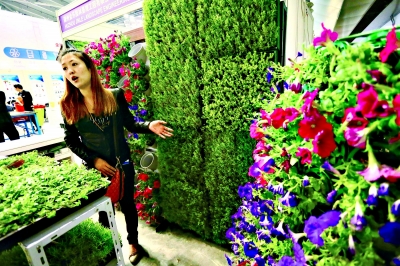 花卉 萊茵石 PM2.5