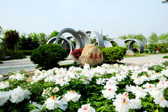 河南 牡丹 園博園