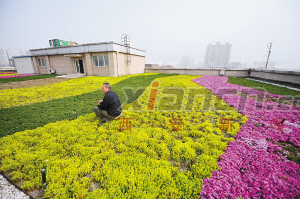 西安 綠化 空中花園