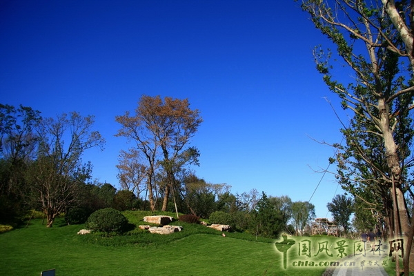 住宅景觀獎 金獎 西山壹號院 景觀設計 中國風景園林網