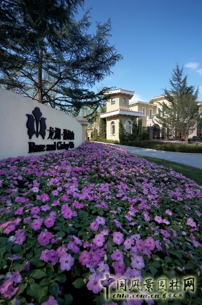 住宅景觀獎 金獎 龍湖 滟瀾山 景觀設計 中國風景園林網