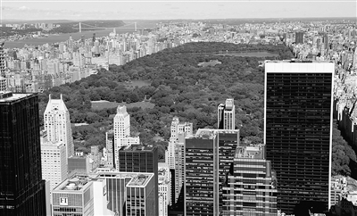 很難想象在高樓林立的商業區有面積達近400個足球場的綠地