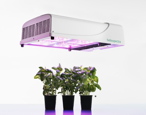 植物研究 植物科學 園藝 LED照明系統