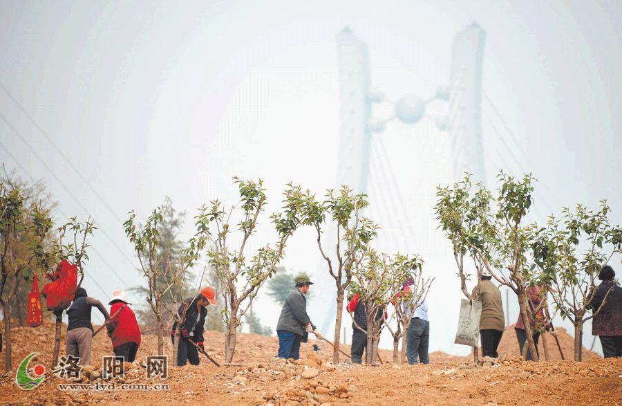 洛陽 綠化 公園