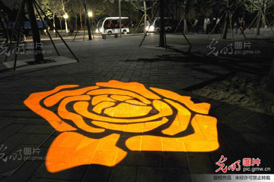 園博園 花卉 投影