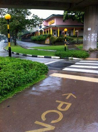 新加坡公共治理