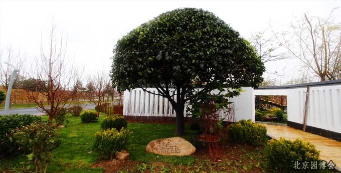 園博會 南寧園 展園主題 