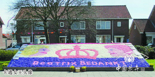 風信子 馬賽克 荷蘭