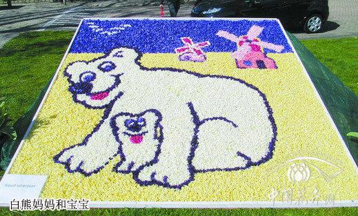 風信子 馬賽克 荷蘭