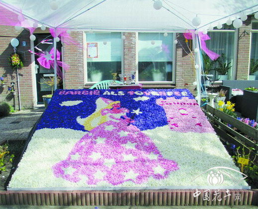 風信子 馬賽克 荷蘭