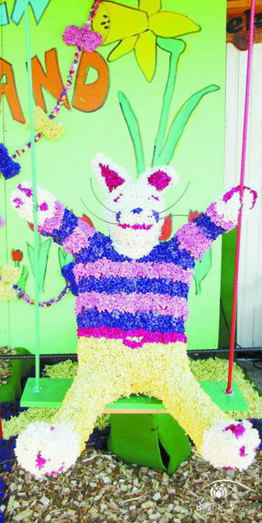 風信子 馬賽克 荷蘭