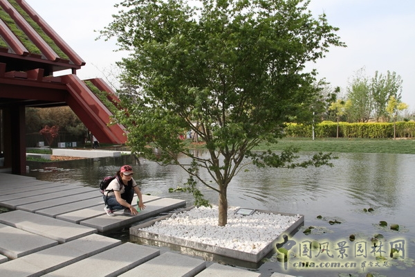 北京園博園 武漢園 旅游 景觀設計 公園 中國風景園林網(wǎng)