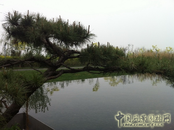 北京園博園 武漢園 旅游 景觀設(shè)計(jì) 公園 中國風(fēng)景園林網(wǎng)