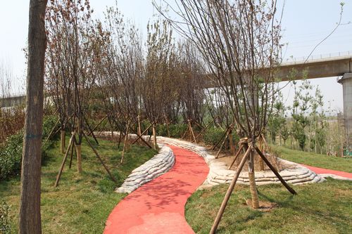 北京園博會(huì) 設(shè)計(jì)師廣場 聲波 設(shè)計(jì)理念