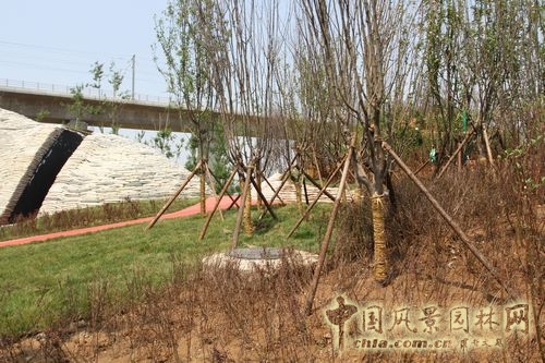 北京園博會(huì) 設(shè)計(jì)師廣場 聲波 設(shè)計(jì)理念