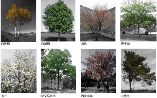 園博會作品朱育帆流水印