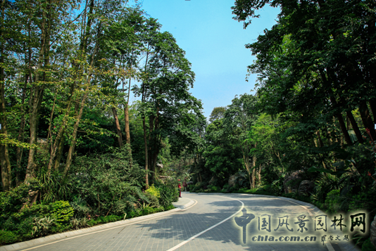 利征 山水比德 風景園林師 景觀設計 中國風景園林網