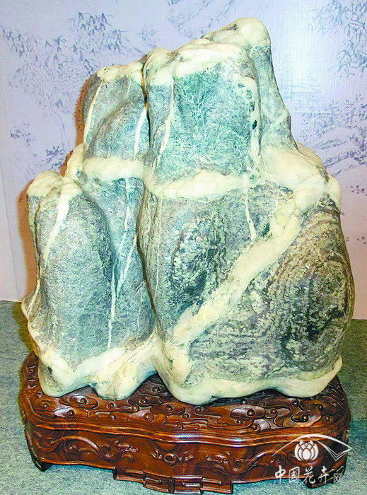 盆景 獲獎作品 揚州