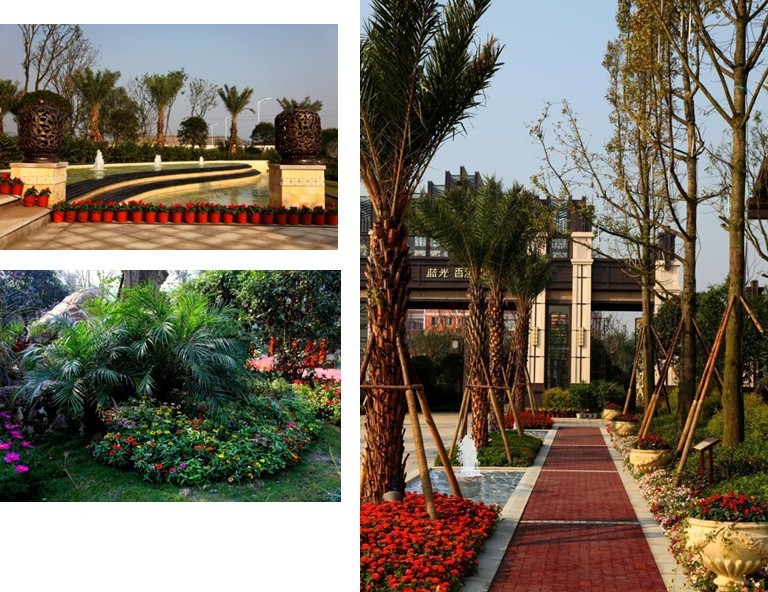 設計師 設計理念 景觀設計 體驗式設計