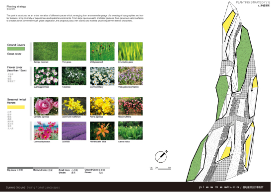 凹陷花園種植策略1