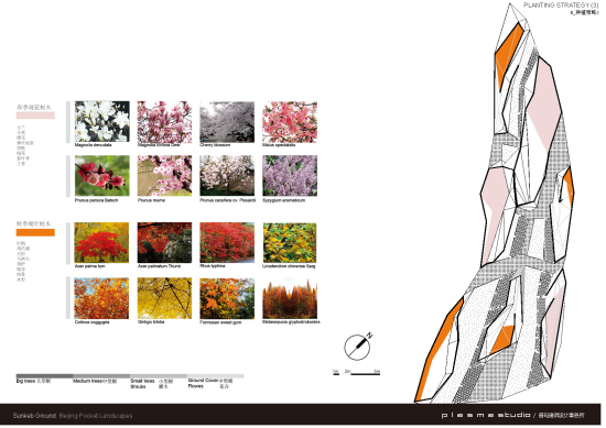 凹陷花園種植策略