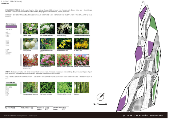 凹陷花園種植策略4