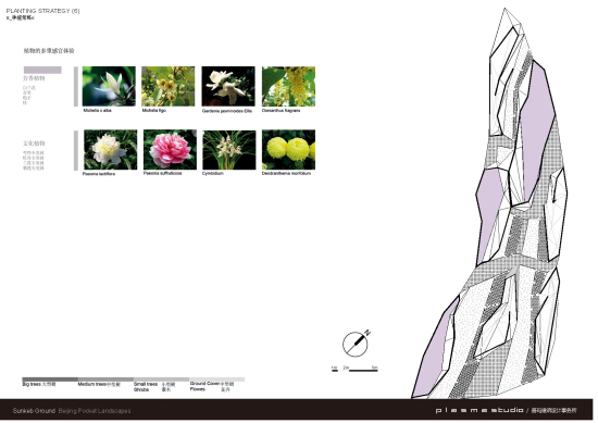 凹陷花園種植策略6
