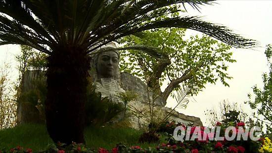 從貴州移植過來的鐵樹。千龍網(wǎng)記者 鄭濤 攝