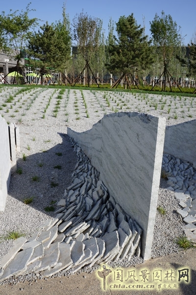 彼得拉茨 彼得拉茨花園 大師園 霧中葉脊