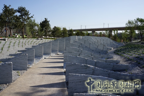 彼得拉茨 彼得拉茨花園 大師園 霧中葉脊