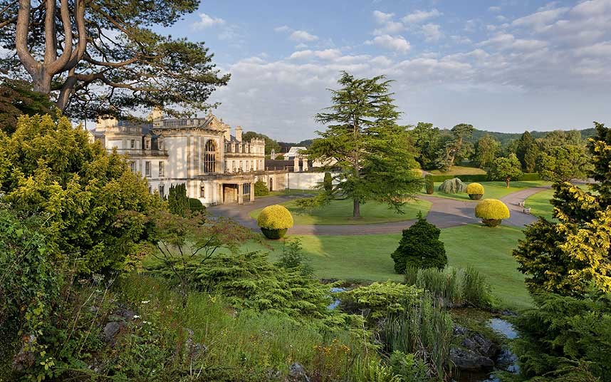 百花齊放的全景圖 