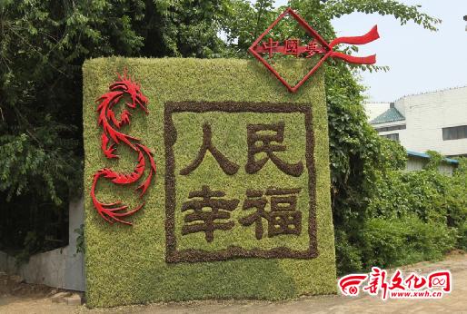 綠化 景觀 植物