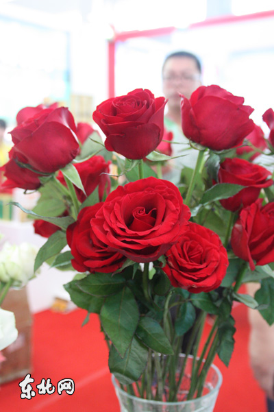 黑龍江 花卉 哈洽會