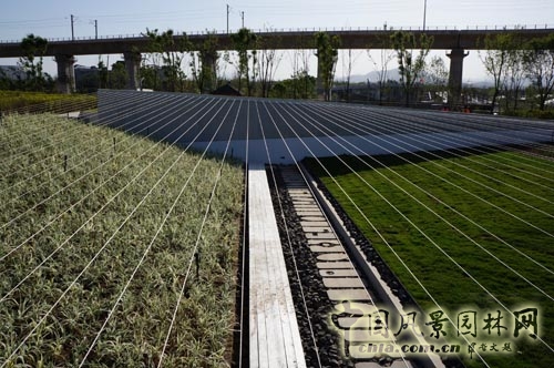 三谷徹 大師園 標記地點 三谷徹花園