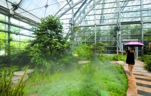 南山植物園 養護 管理