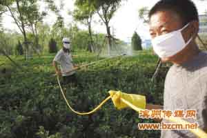 病蟲害防治