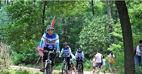 襄陽 綠化 綠道