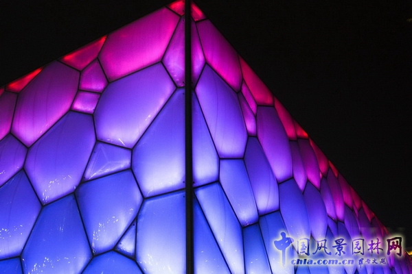 水立方 景觀設計 CCDI 何小強 中國風景園林網