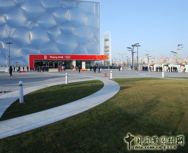 水立方 景觀設計 CCDI 何小強 中國風景園林網