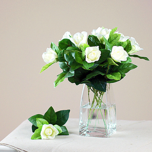 夏日 花卉 梔子