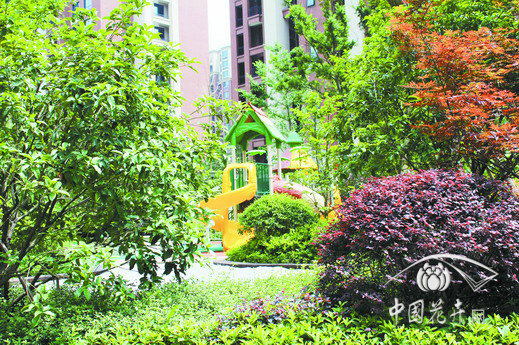 兒童游樂場掩映于植物景觀之中,景觀功能兼具