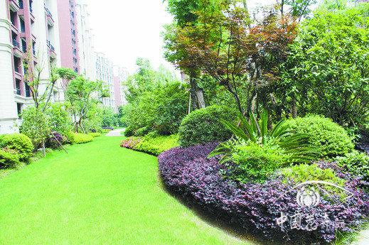 植物組團不露腳,層次分明